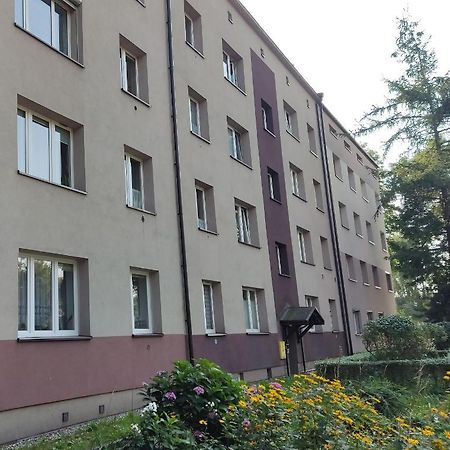 Apartament Curie Zabrze Exterior photo