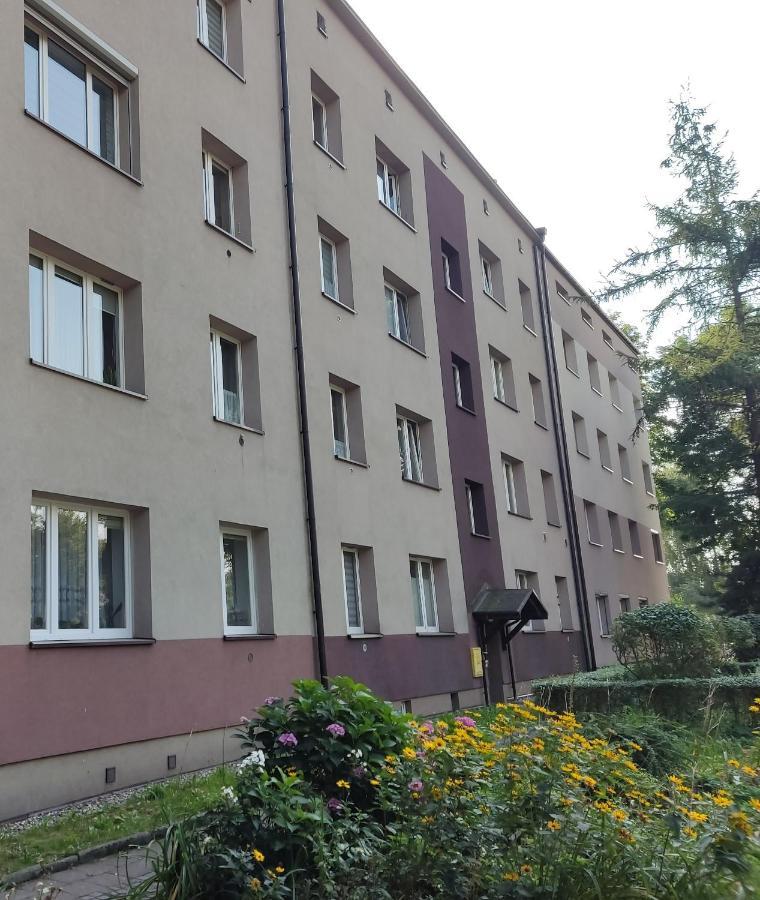 Apartament Curie Zabrze Exterior photo